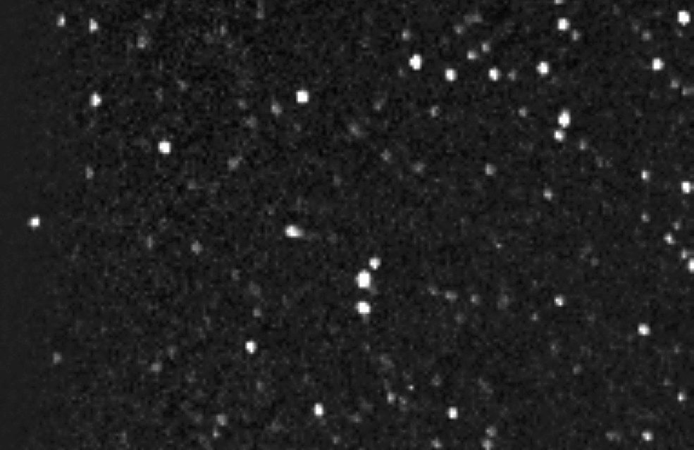 This series of images from the WISPR instrument on board Parker Solar Probe shows a small sungrazing comet, SOHO-4063, as it approached the Sun on September 13–14, 2020. This is the first observation of a sungrazing comet by Parker Solar Probe’s instruments. Credits: NASA/Johns Hopkins APL/Naval Research Lab/Parker Solar Probe/Guillermo Stenborg