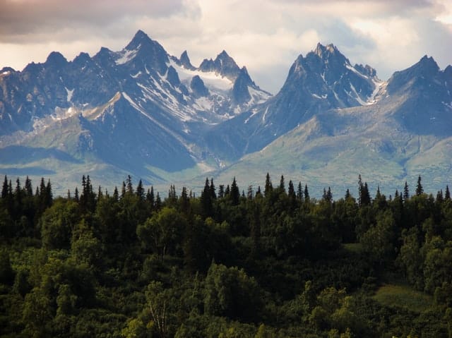 Forest service SOFC
