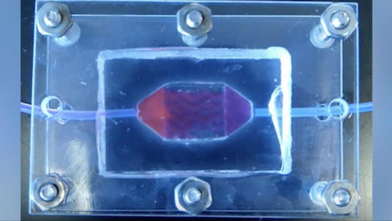Redwire Launching 3D Bioprinted Liver Tissue to Space, Advancing Tissue Engineering Research for Organ Replacement
