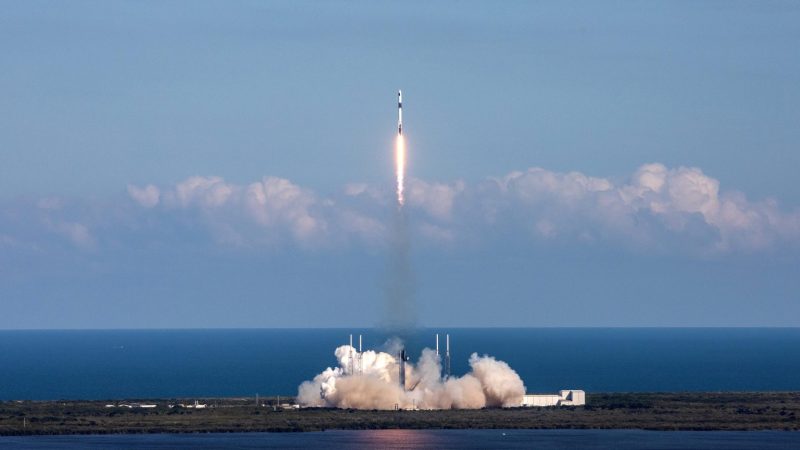 New Redwire Investigations Launching on SpX-31 Include Crystallization and Plant Experiments to Improve Life on Earth and Expand Humanity’s Presence in Space