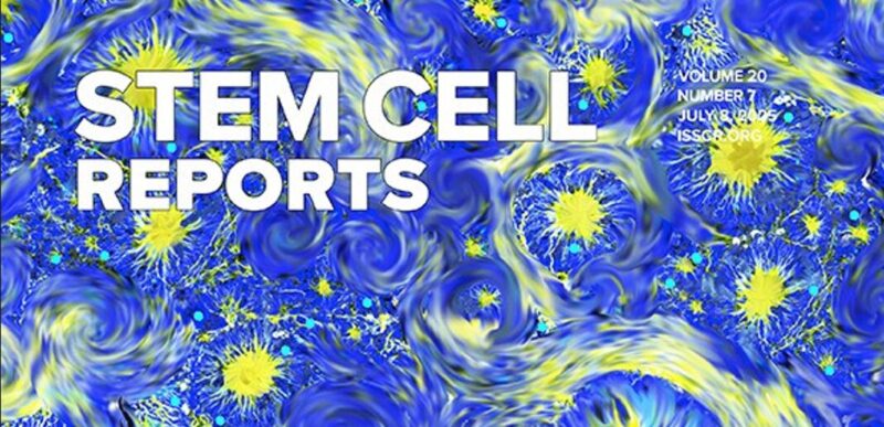 Space-Based Biomanufacturing Ushers in New Era: Crystals, Cells, and Collaboration in Low Earth Orbit