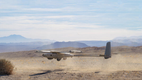 Stalker in Desert